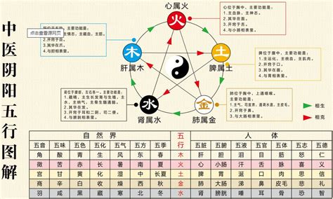 林屬五行|【林的五行】林有什麼特殊之處？五行學角度解析林的奧秘